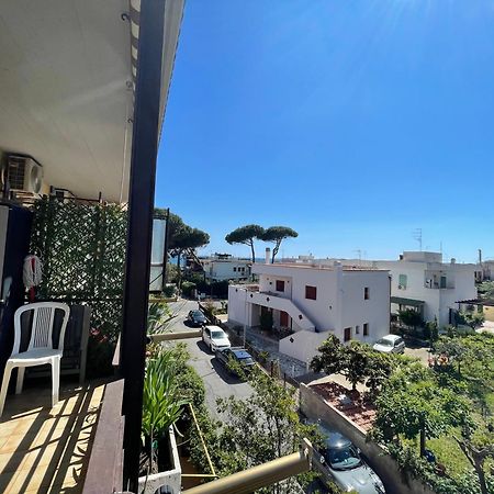 Coastal House - Spiaggia E Piscina A Dieci Passi Santa Marinella Zewnętrze zdjęcie